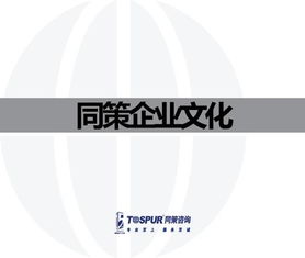 致客戶的承諾——做值得托付的房地產智囊\n副標題 某房地產咨詢服務公司企業文化重塑行動綱要文件（內部審核版）\n\n**第2-3頁 我們的行業信念**\n? 房地產不僅是鋼筋水泥，更是城市靈魂的載體?！拔覀冏鹬孛恳粔K土地的基因。”\n? 唯一不變的是變化與專業。核心命題 從增長邏輯轉向價值邏輯的生存之道。\n\n**第4-5頁 使命定義**\n我們存在的根本原因 “賦能不動產全周期，讓投資回歸價值本質?！保ㄗ?在供給側改革與去金融化大背景下，幫助客戶甄別泡沫，專注抗周期真理。）\n\n**第6-8頁 戰略